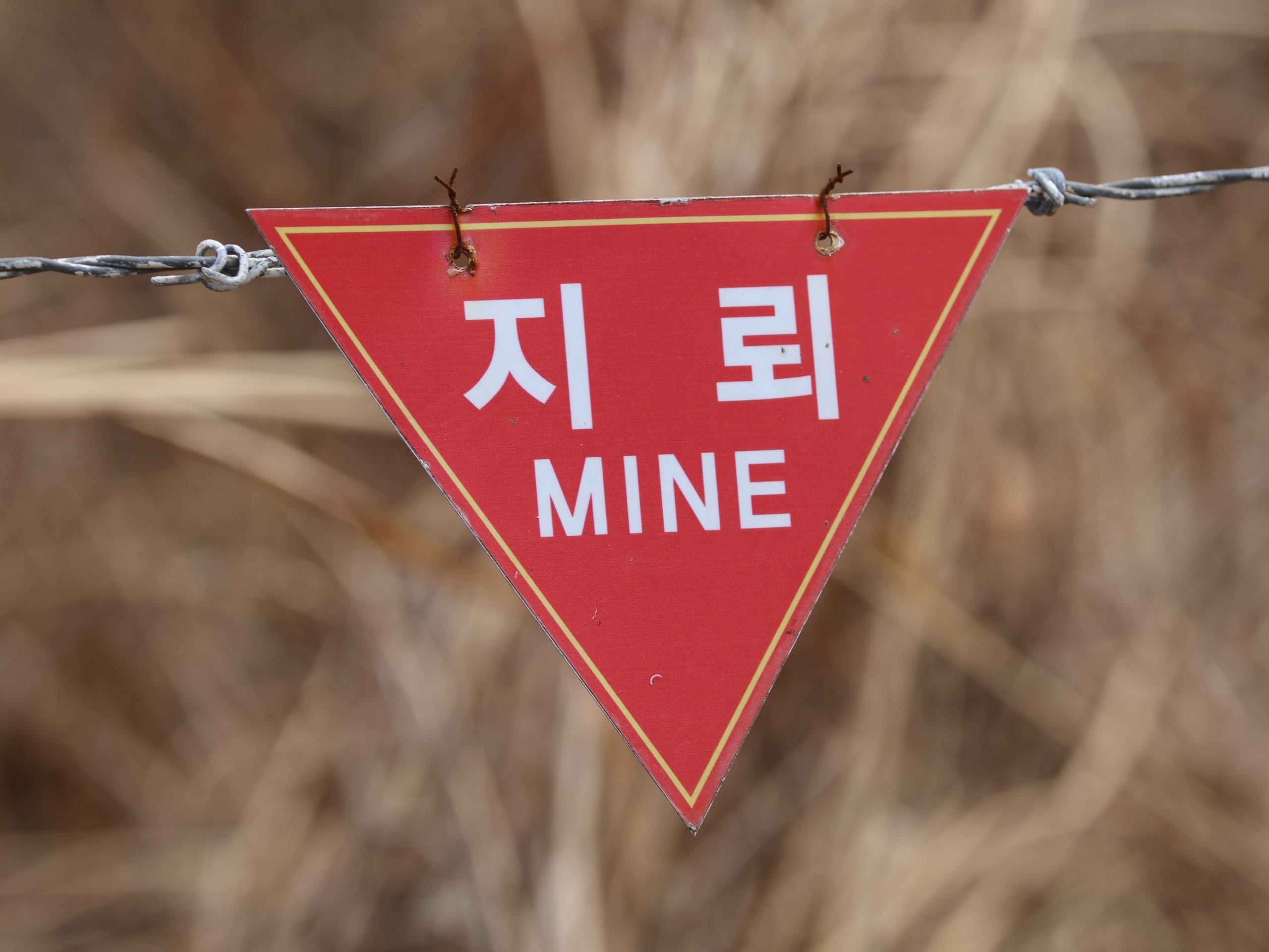 DMZ 地雷爆炸之後:南韓的「相應措施」與朝鮮半島的升級風險